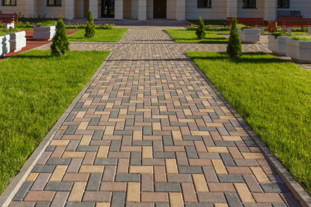Trusted Savoy, IL Driveway Pavers Experts